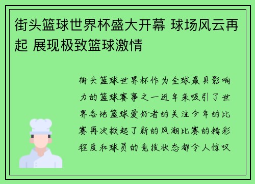 街头篮球世界杯盛大开幕 球场风云再起 展现极致篮球激情